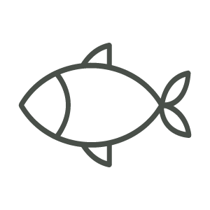 Fish icon